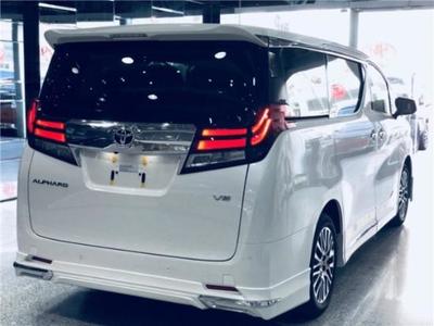 埃爾法四座櫻花版蒙娜麗莎商務(wù)車驚艷全國