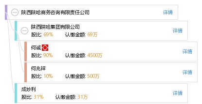 陜西陜哈商務咨詢有限責任公司
